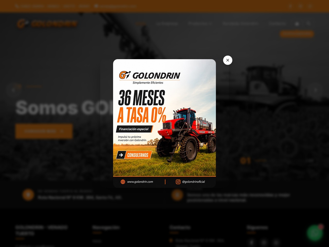 Sitio web de Golondrin diseñado por Pensamos Primero