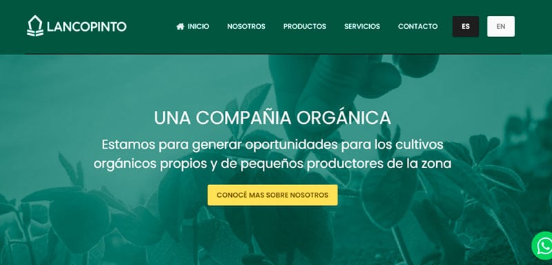 Sitio web de Lancopinto diseñado por Pensamos Primero